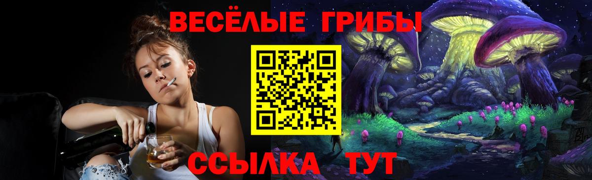 хочу   Вход с VPN  Кимры  Галлюциногенные грибы ЛСД 